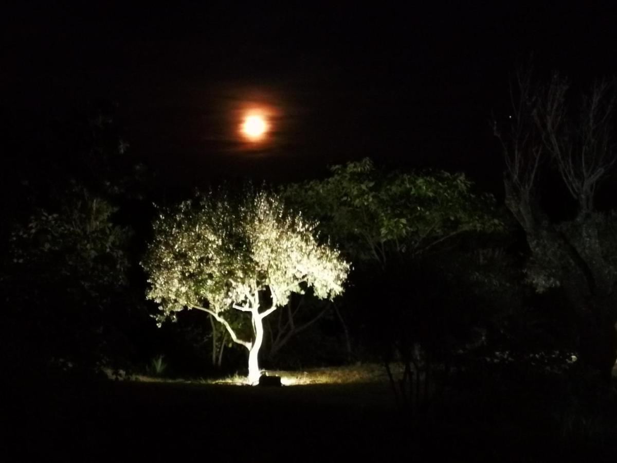 La Bastide du Limon Aparthotel Mormoiron Esterno foto